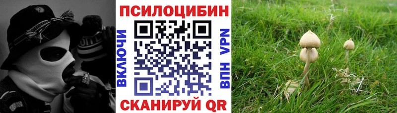 Галлюциногенные грибы Cubensis  Купить  Сыктывкар 